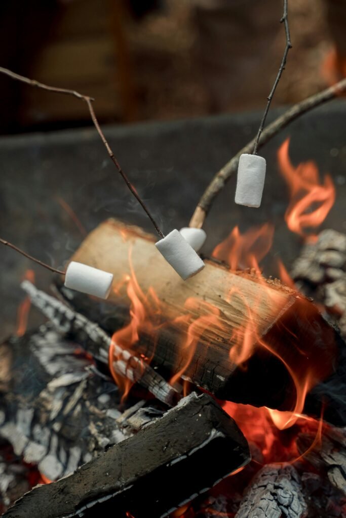 kampvuur en marshmellow kampvuur en marshmellow